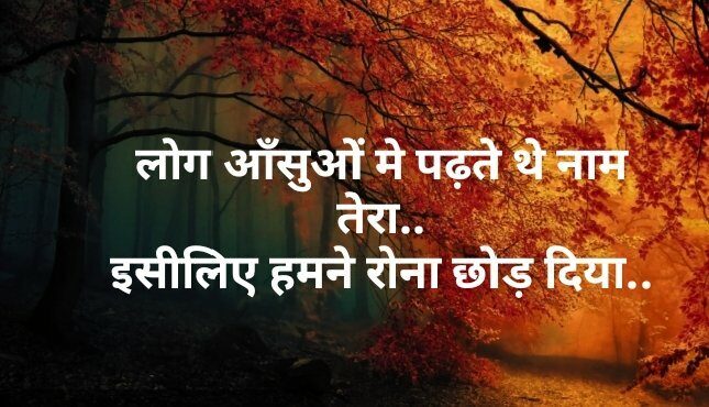 Shayari in Hindi